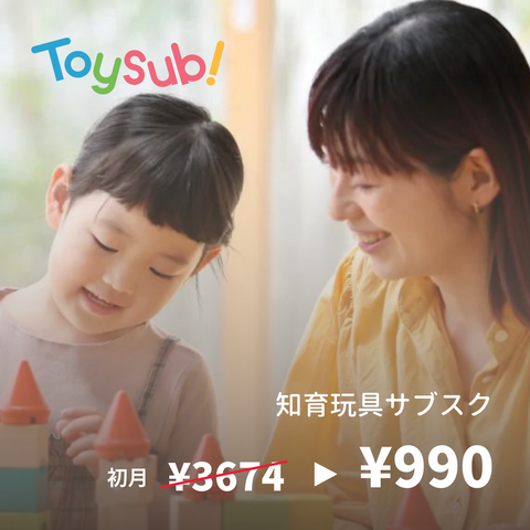 "Toysub!" is a subscription service that delivers educational toys tailored to each individual.